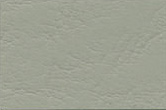 Goosewing Grey (10A05)