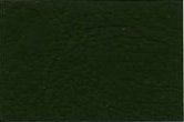 Juniper Green (12B29)