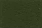 Olive Green (12B27)