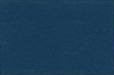 Ocean Blue (18C39)